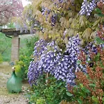 Villa Casale Iris
