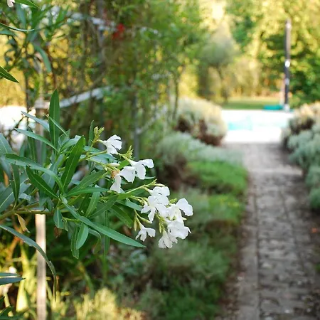 Vila Casale Iris *