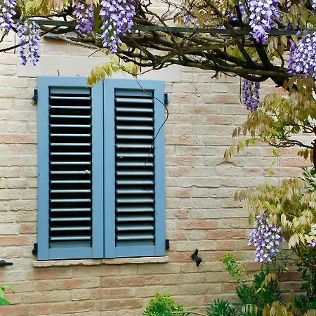 Casale Iris Belmonte Piceno